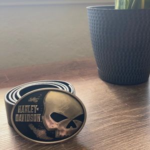 HARLEY DAVIDSON BELT